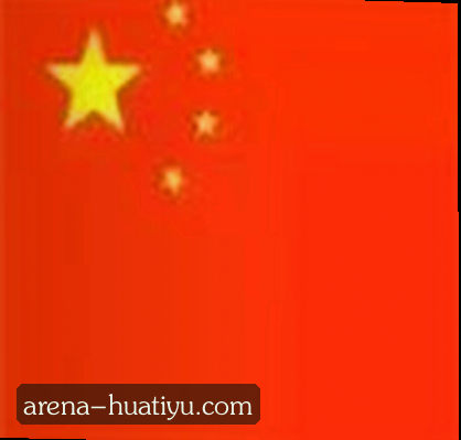 吴迪
